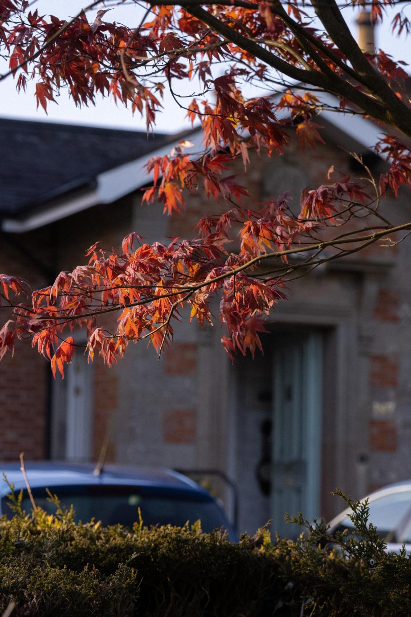 Oranmore Ballymena Exterior foto